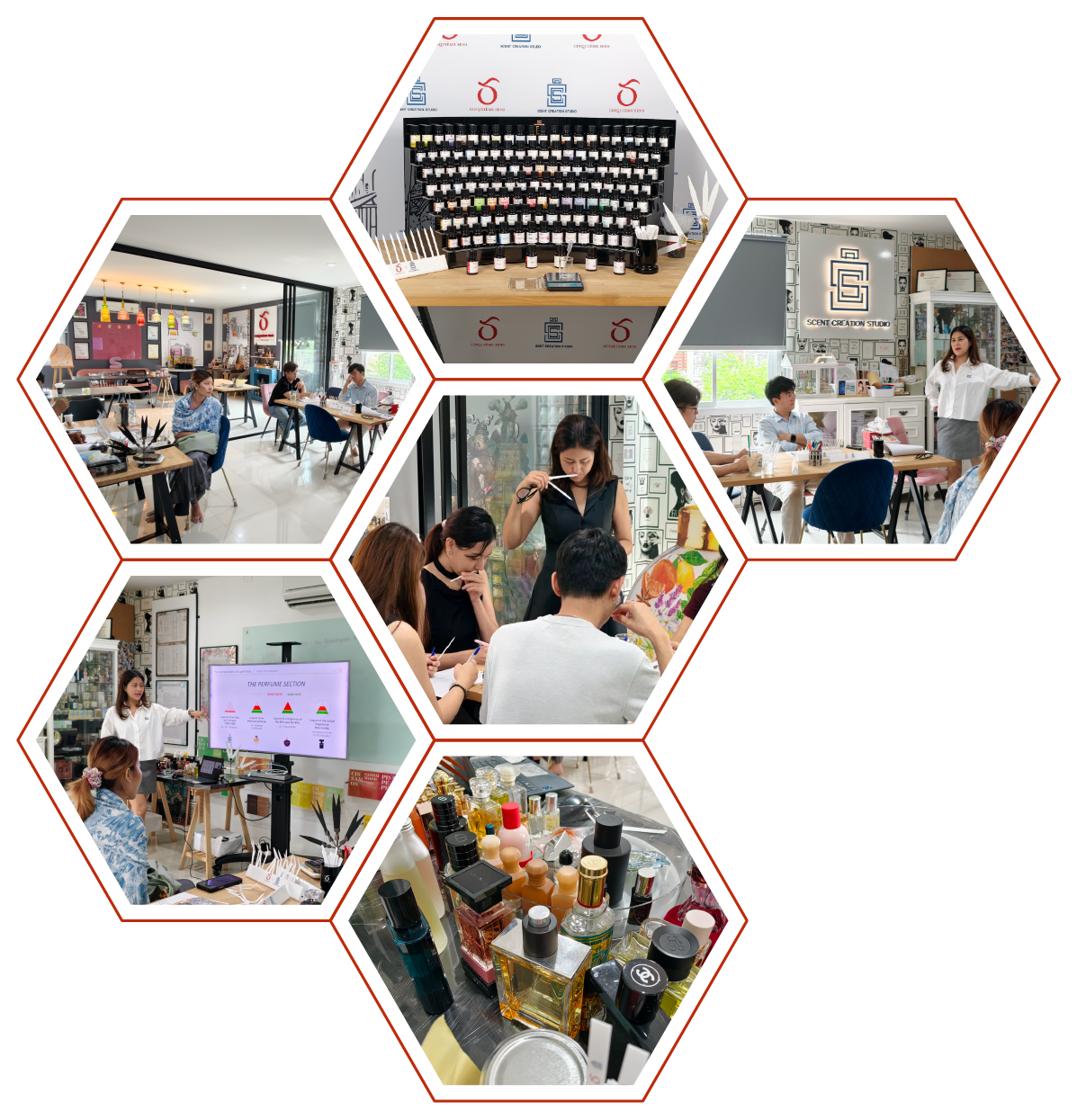Scent Creation Studio