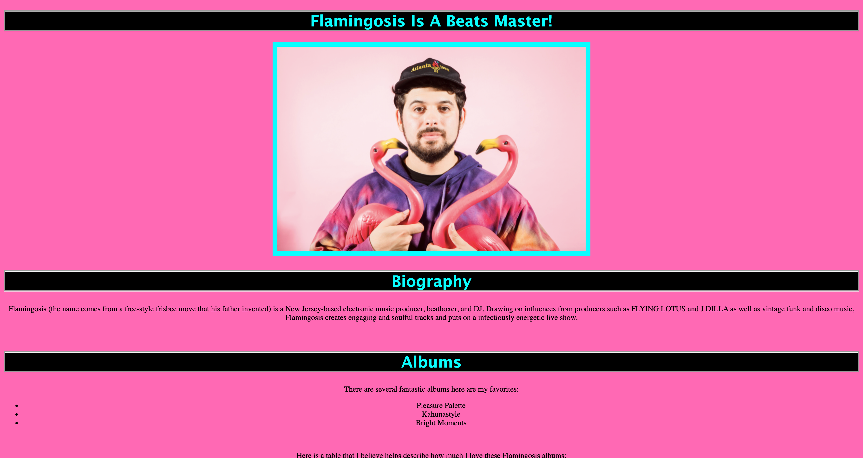 Screenshot of flamingosis fan page