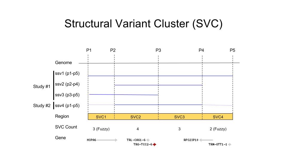 SVC Figure 1