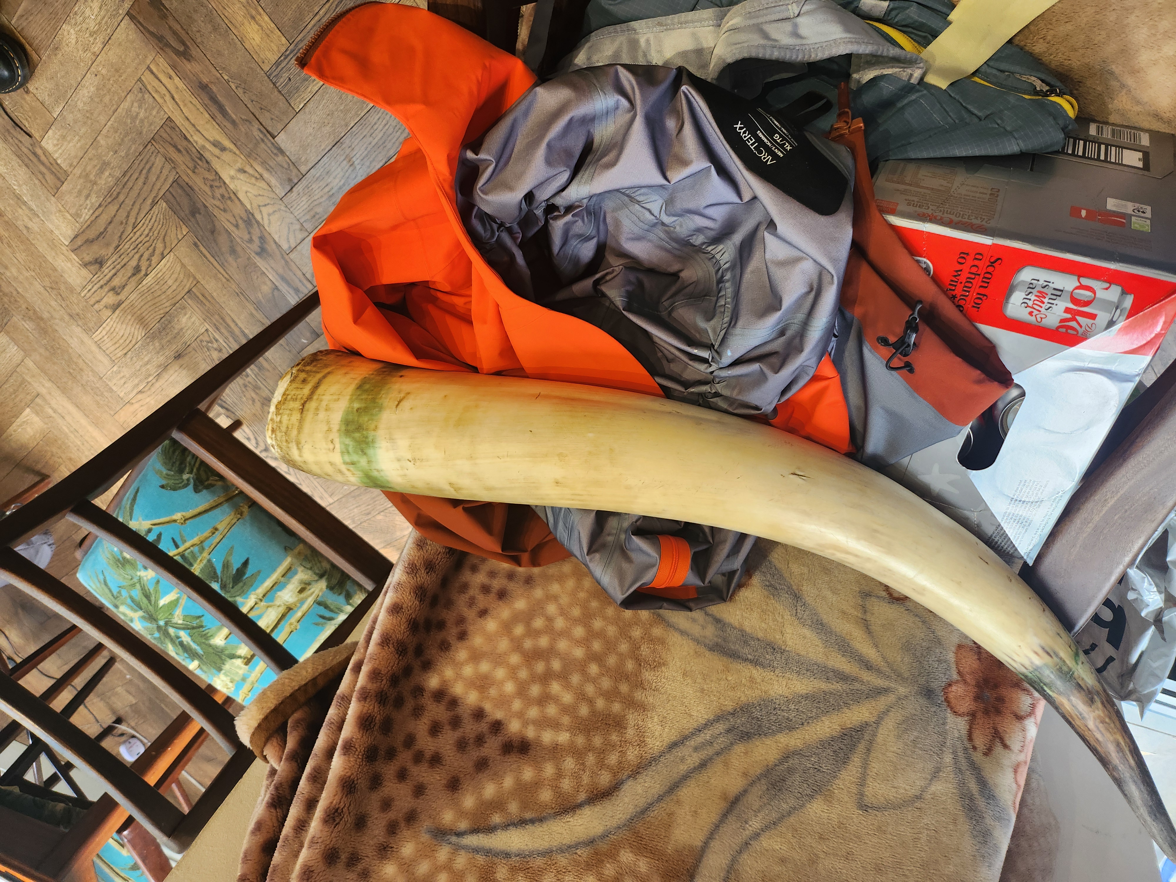 The drinking horn before any work — visible green discolouration and damage at the wide rim end