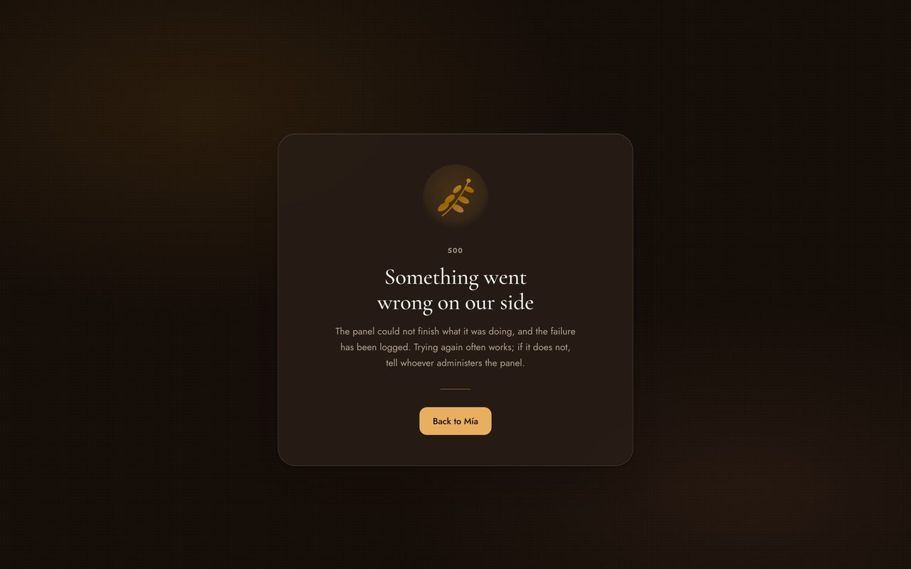 A 500 page in dark mode reading Something went wrong on our side