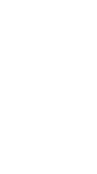 carni1.png