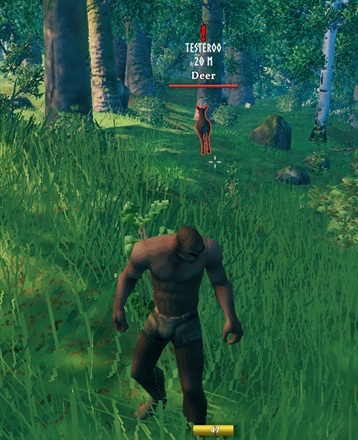 Wildlife highlight with a moving nameplate