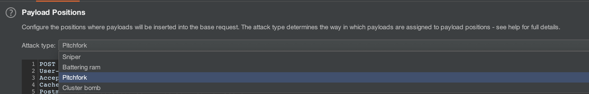 Pitchfork mode in Burp Intruder