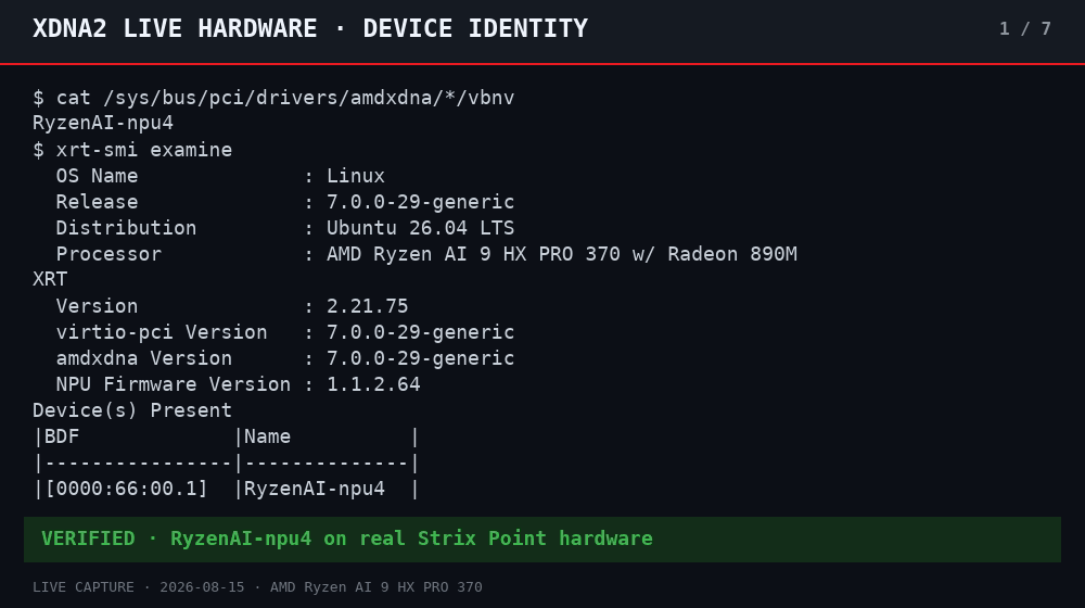 XDNA2 Strix Point real-hardware compute and CPU-reference verification