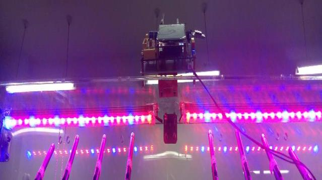 图2.11 光照节点植物灯实物图