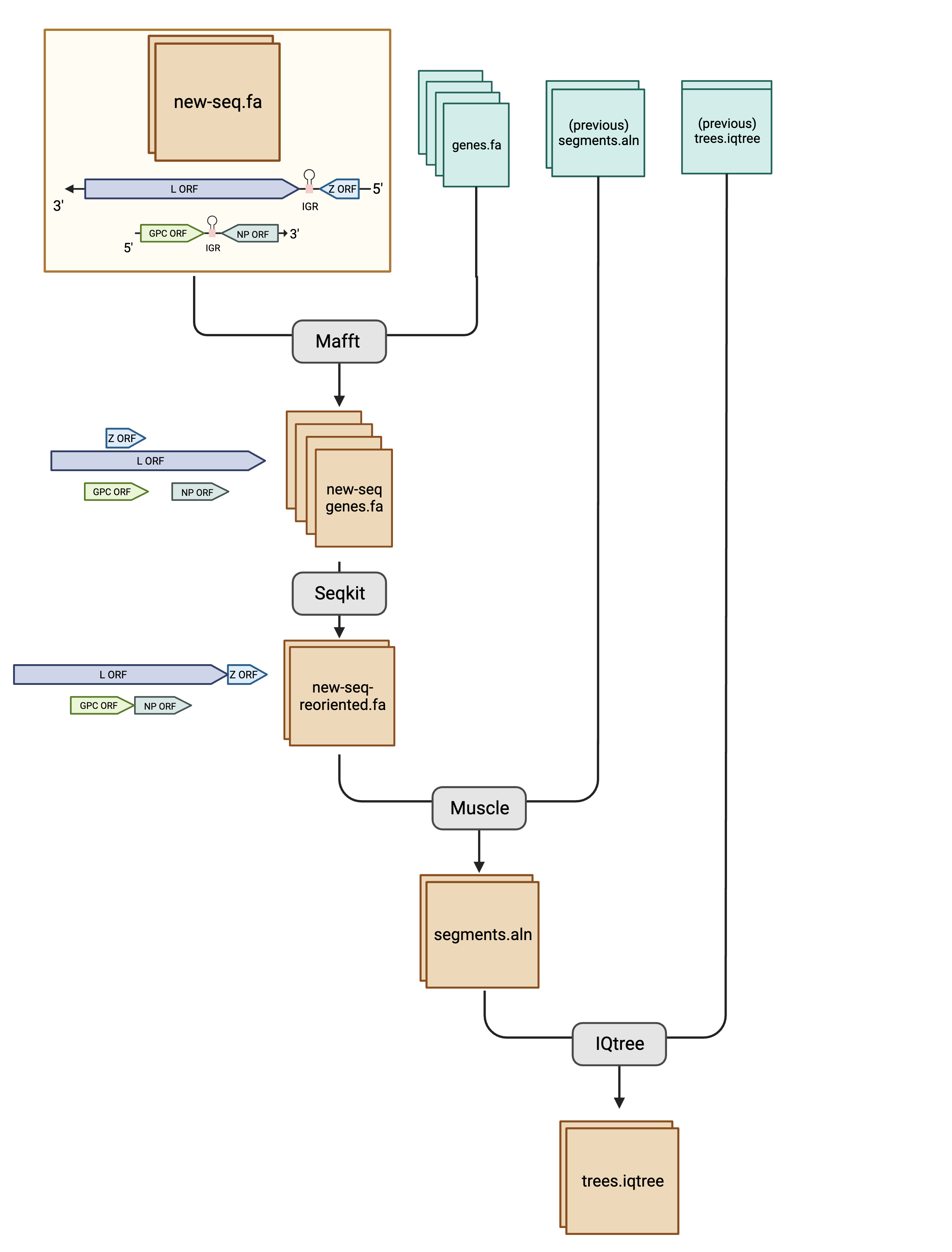 lasvphylo-workflow