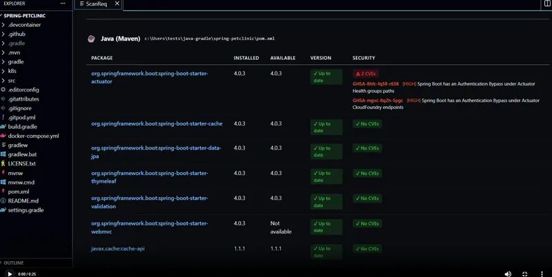 ScanReq Pro scanning spring-petclinic with HIGH CVEs and Spring Boot BOM resolution