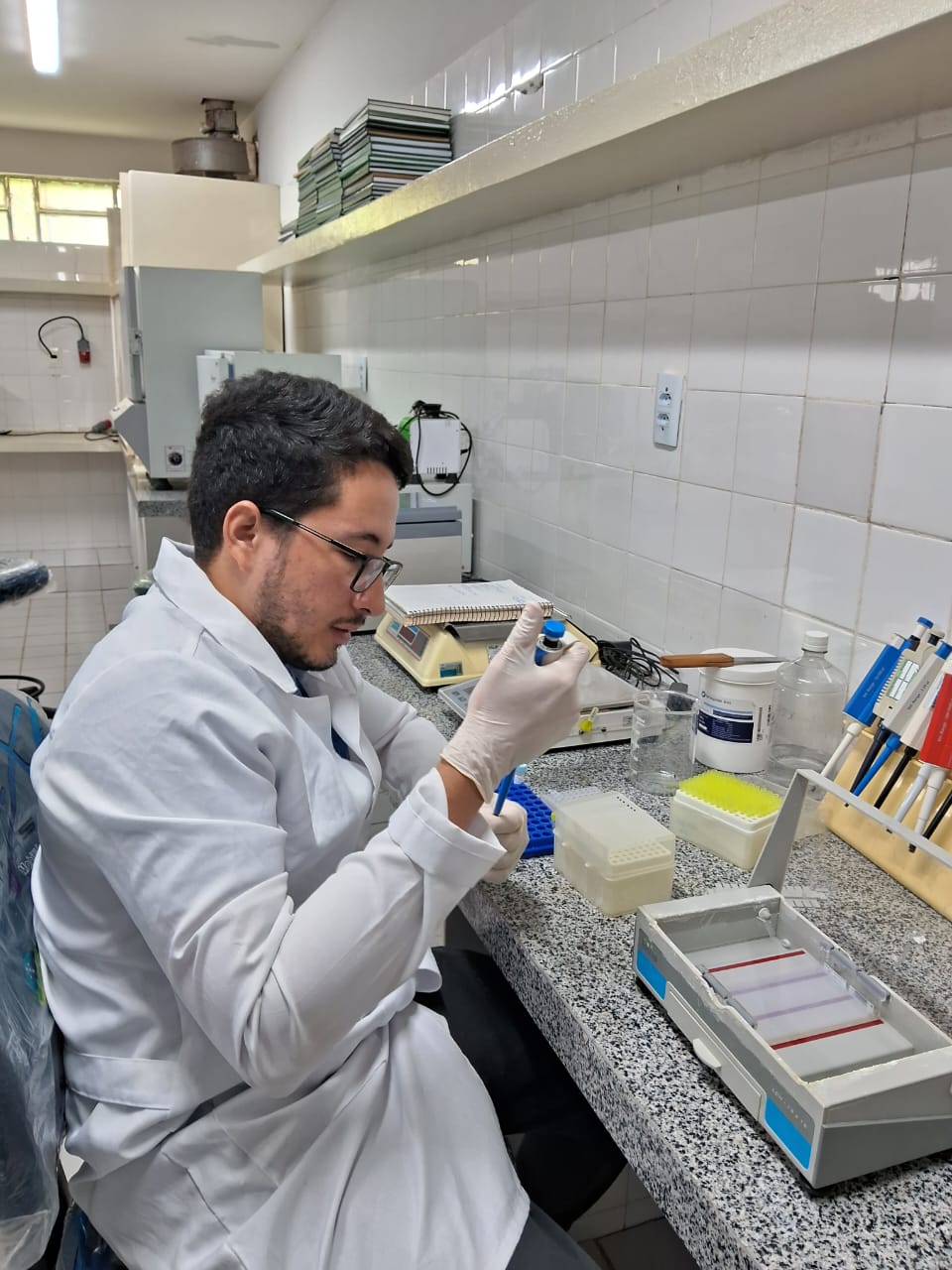 A experiencia no serviço público federal