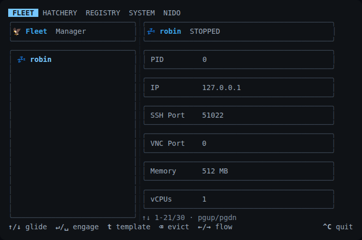 Nido Fleet at 80x24