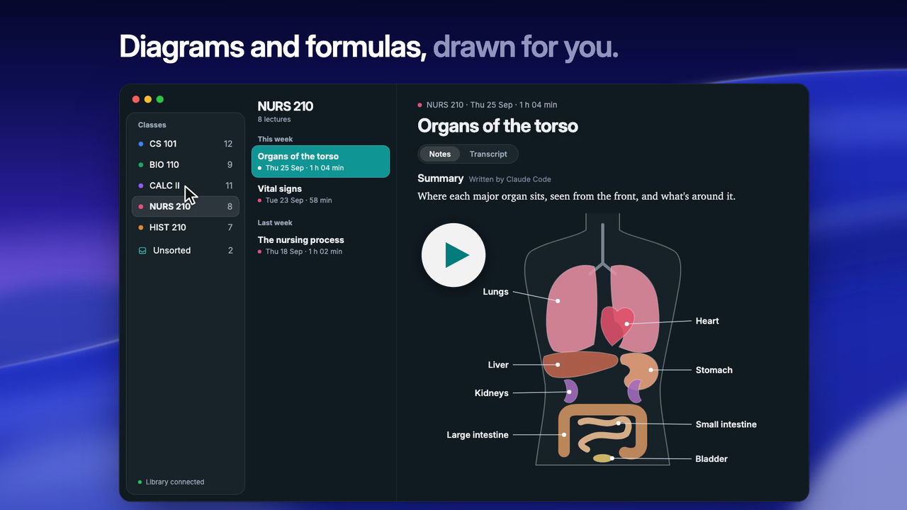 The 50-second demo: a lecture's notes, with a labelled diagram of the organs of the torso