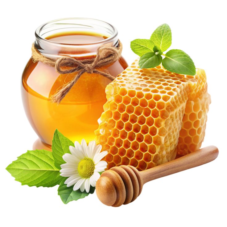 Natural skincare ingredients