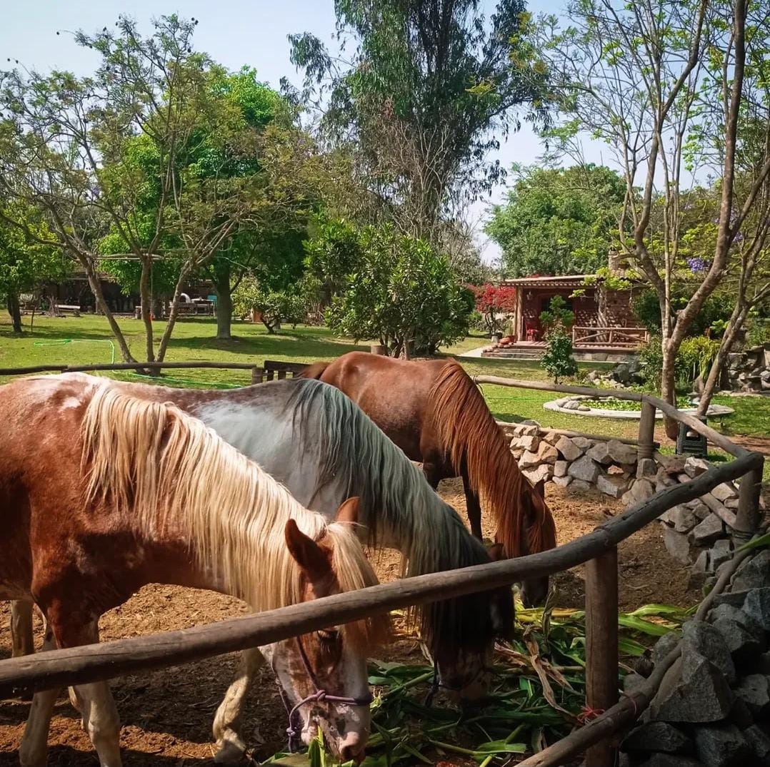 Cieneguilla Premium Experience