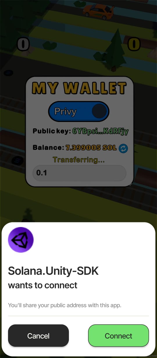 Wallet Connection