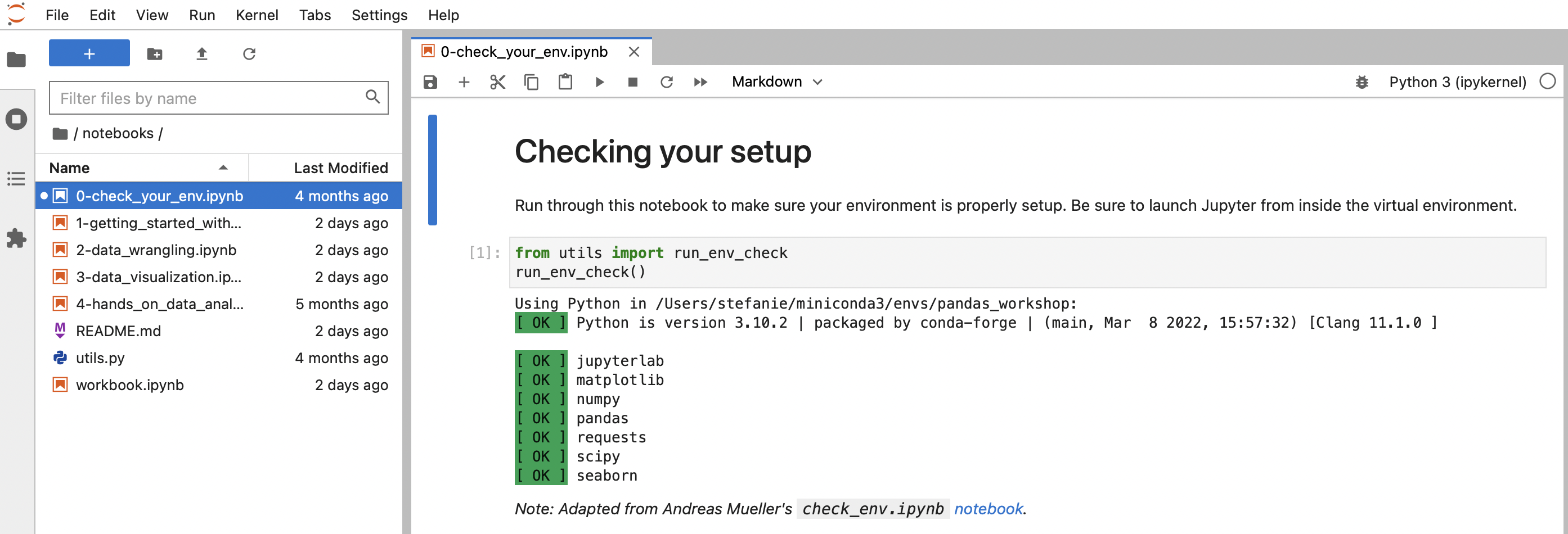 open 0-check_your_env.ipynb