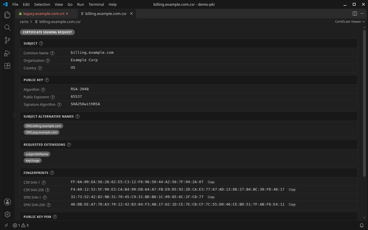 CSR viewer with requested SANs, extensions, and fingerprints