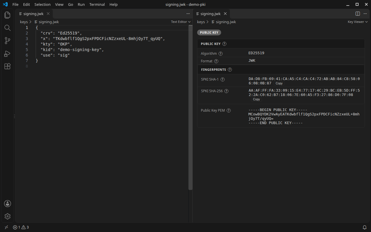 JWK file as text next to the CertView key viewer with SPKI fingerprints and public key PEM