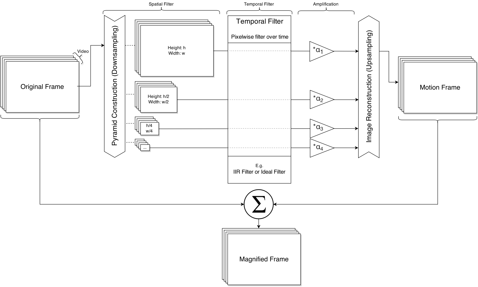 Idea of the Video Magnification Algorithm