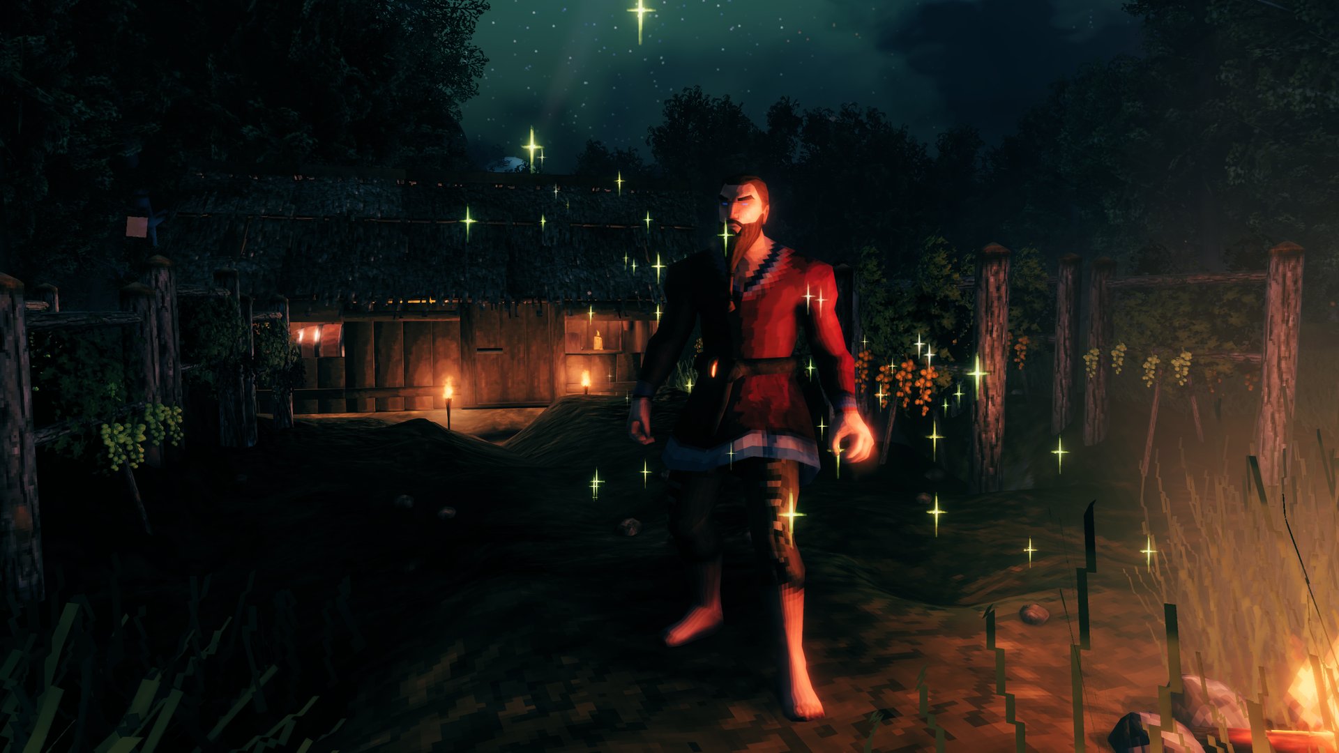 Firefly wine at night