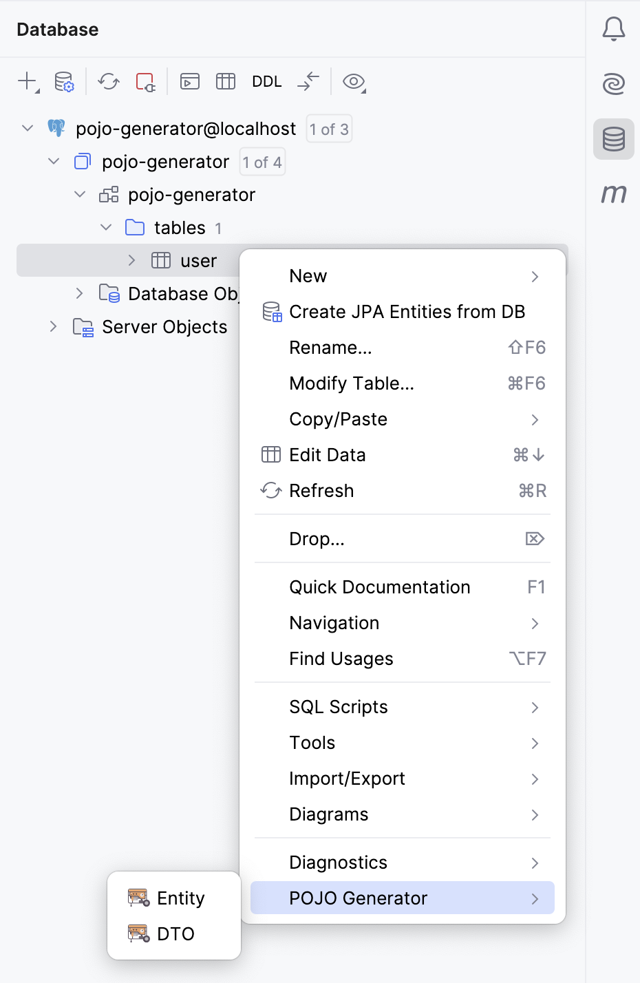 Right click POJO Generator Entity