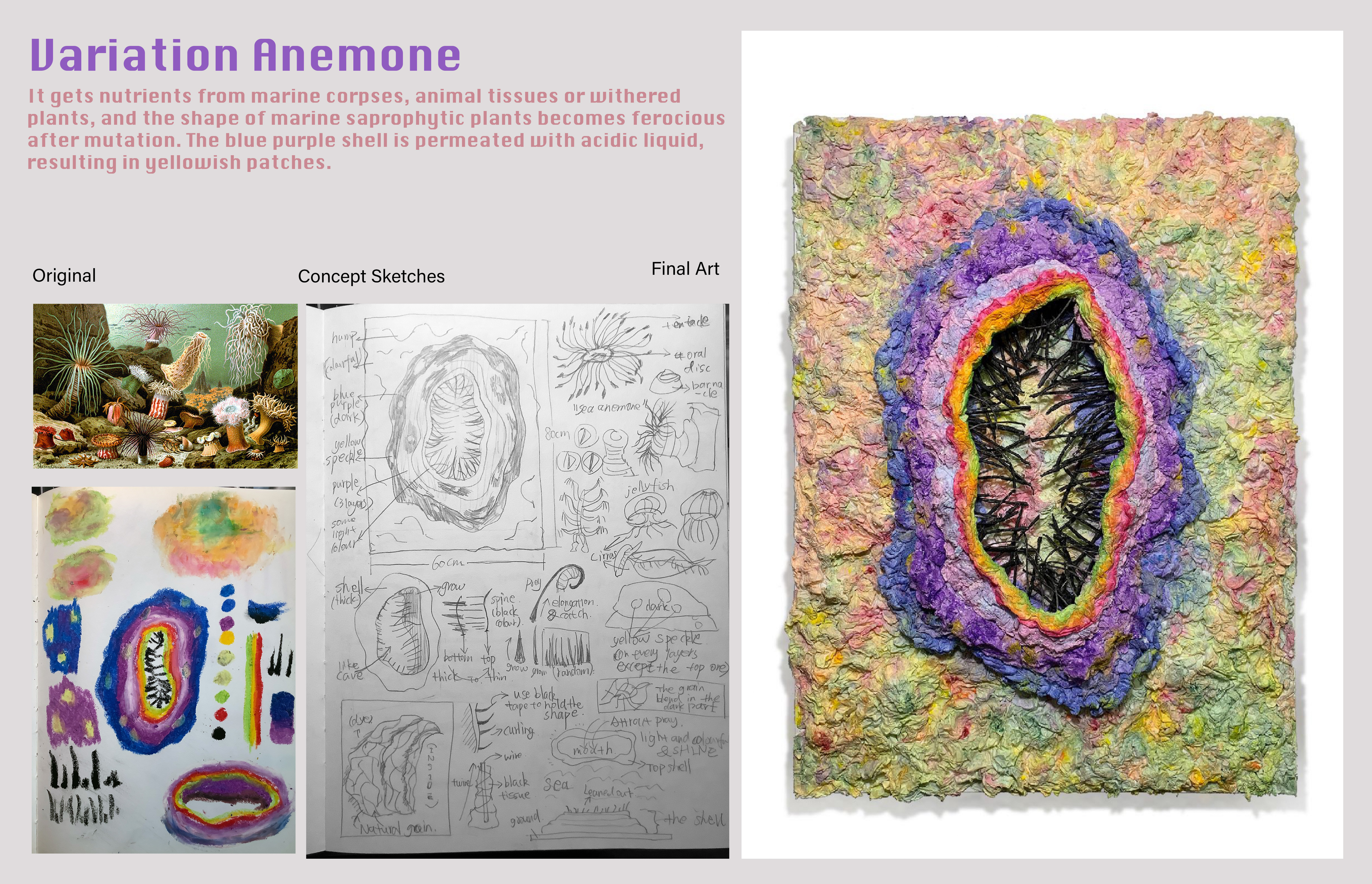 art11