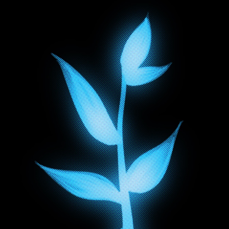 Series 2 Image 1