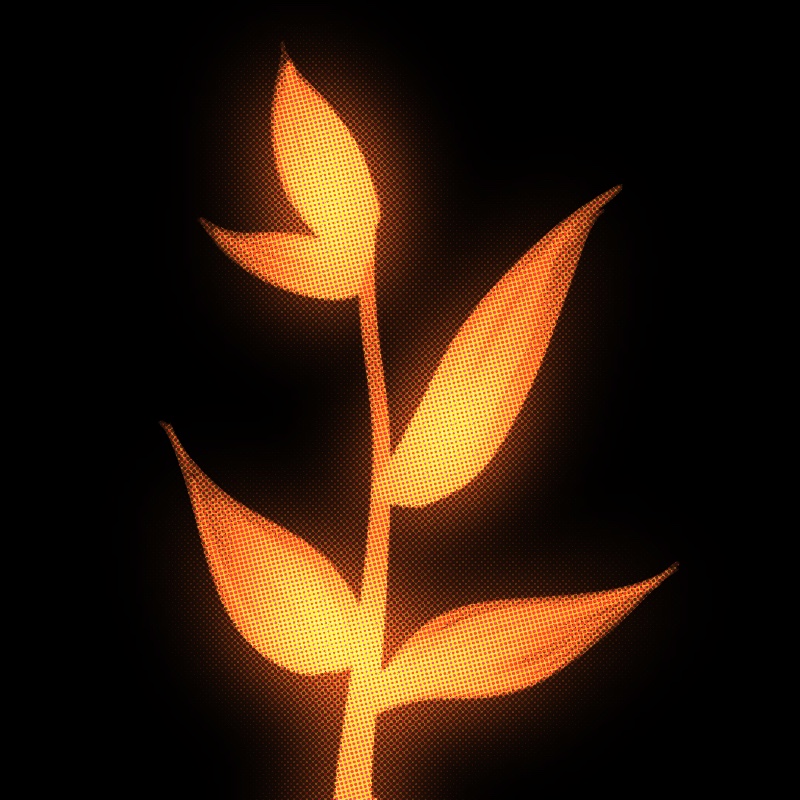 Series 2 Image 2