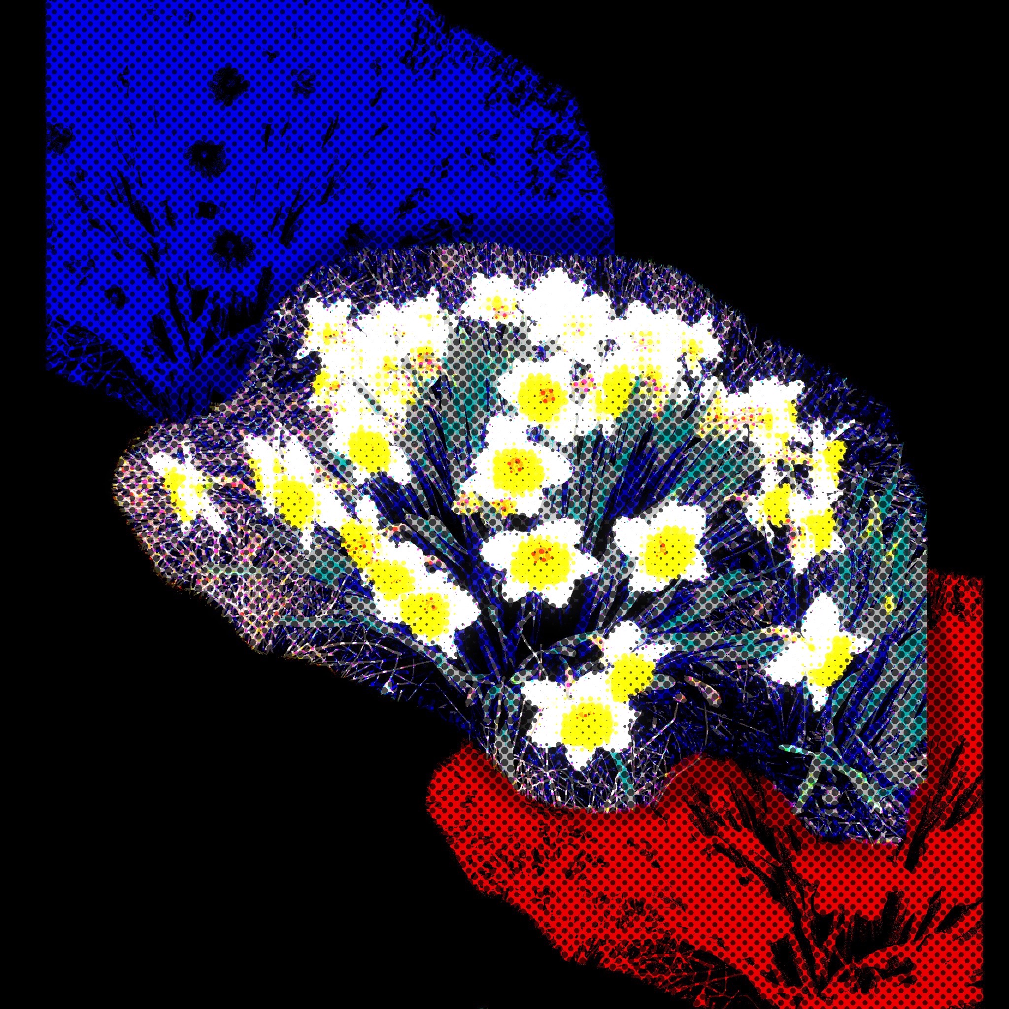 Series 2 Image 5