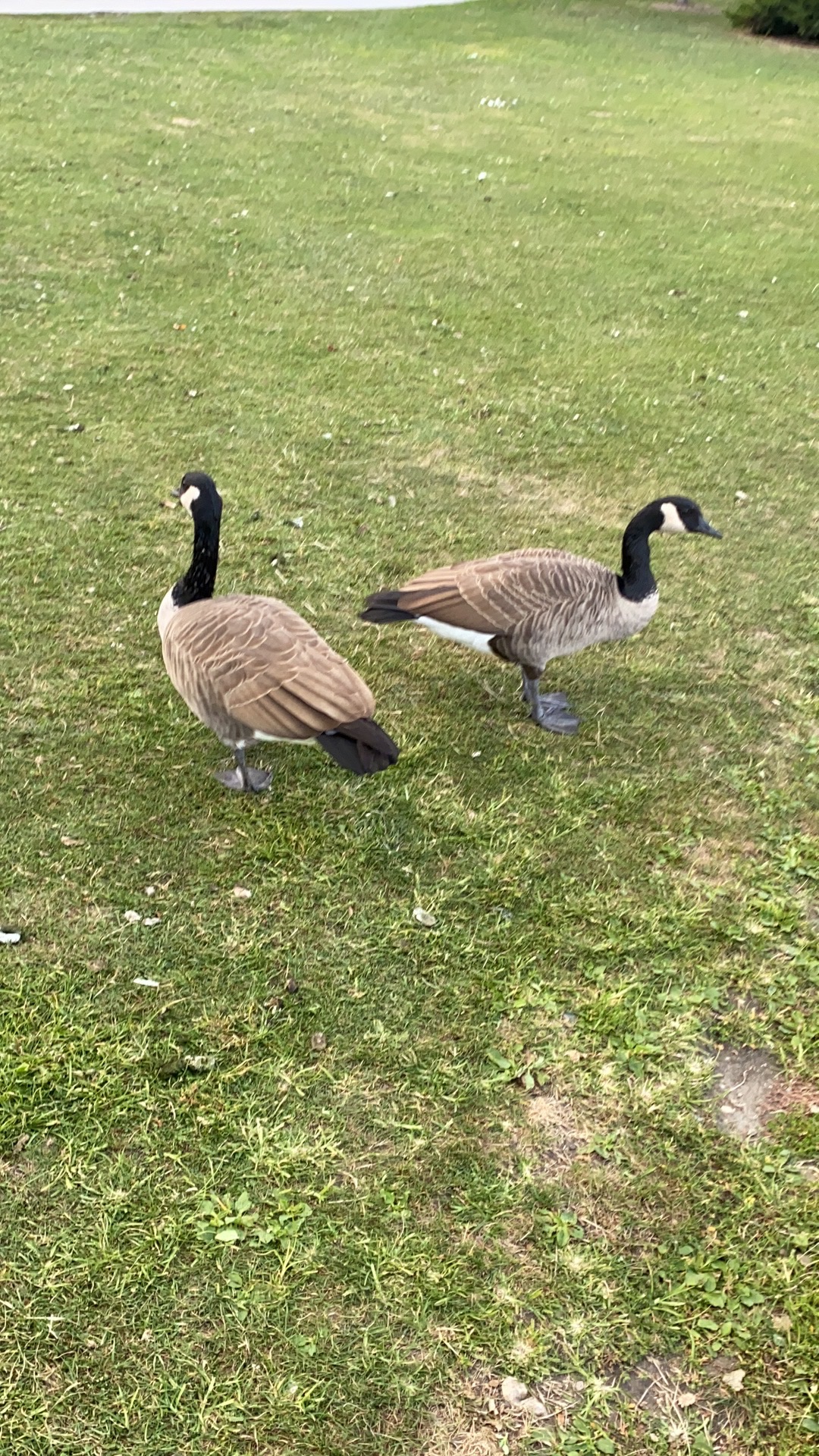 photo12