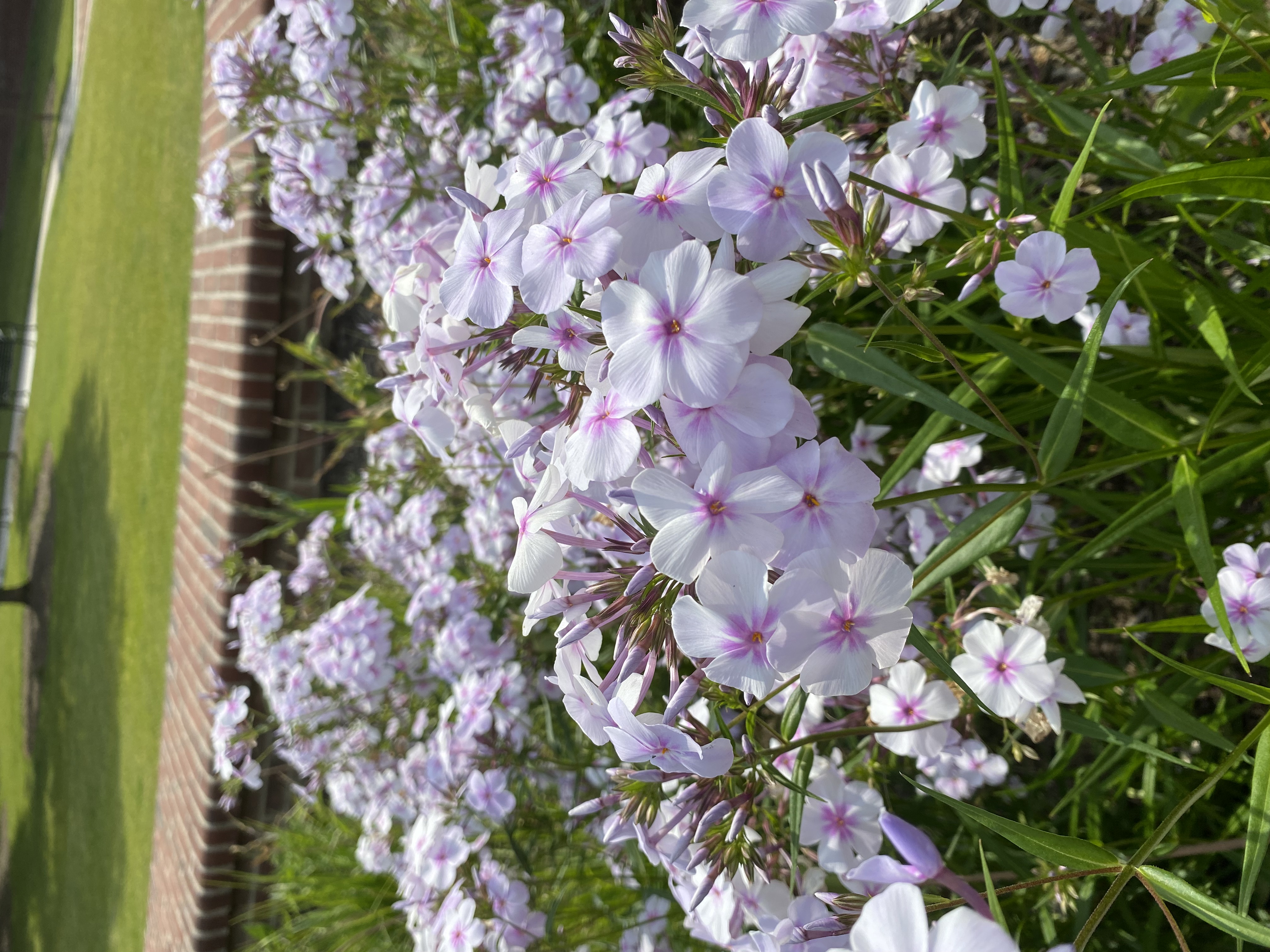 photo46
