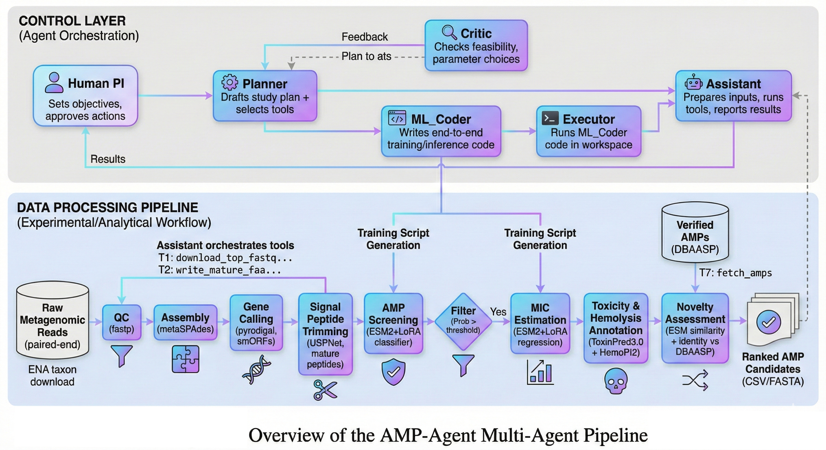 AMP-Agent