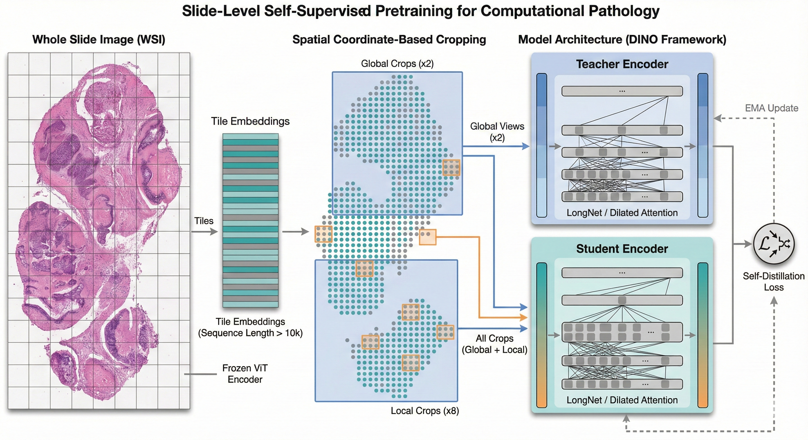 Slide-level Pretraining
