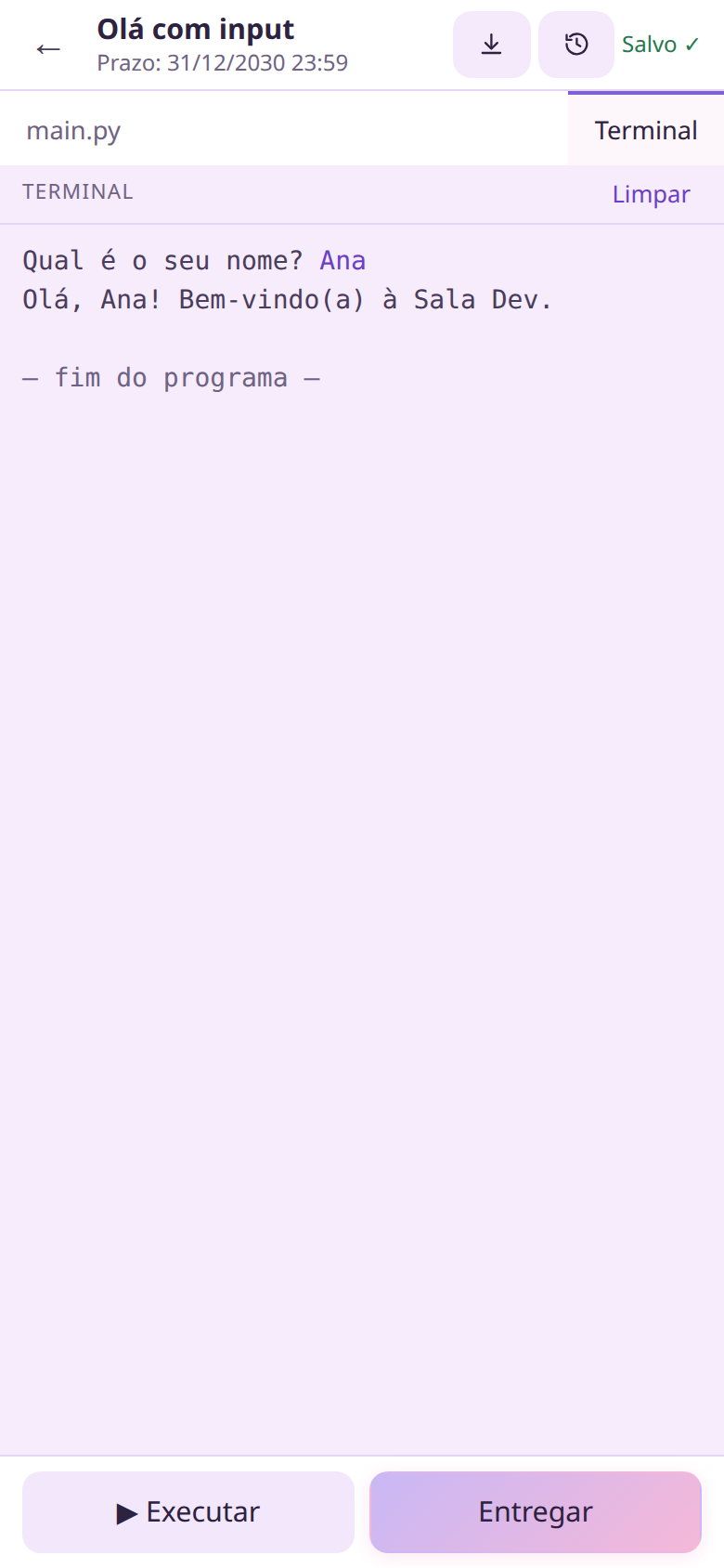 Terminal com input()