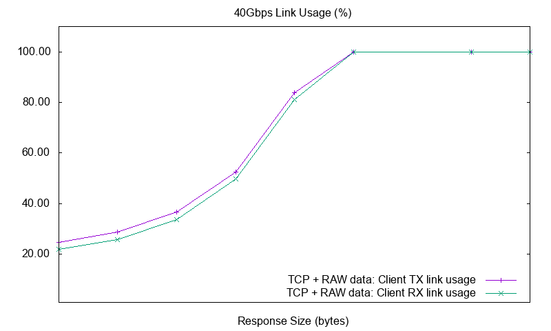TCP raw link usage