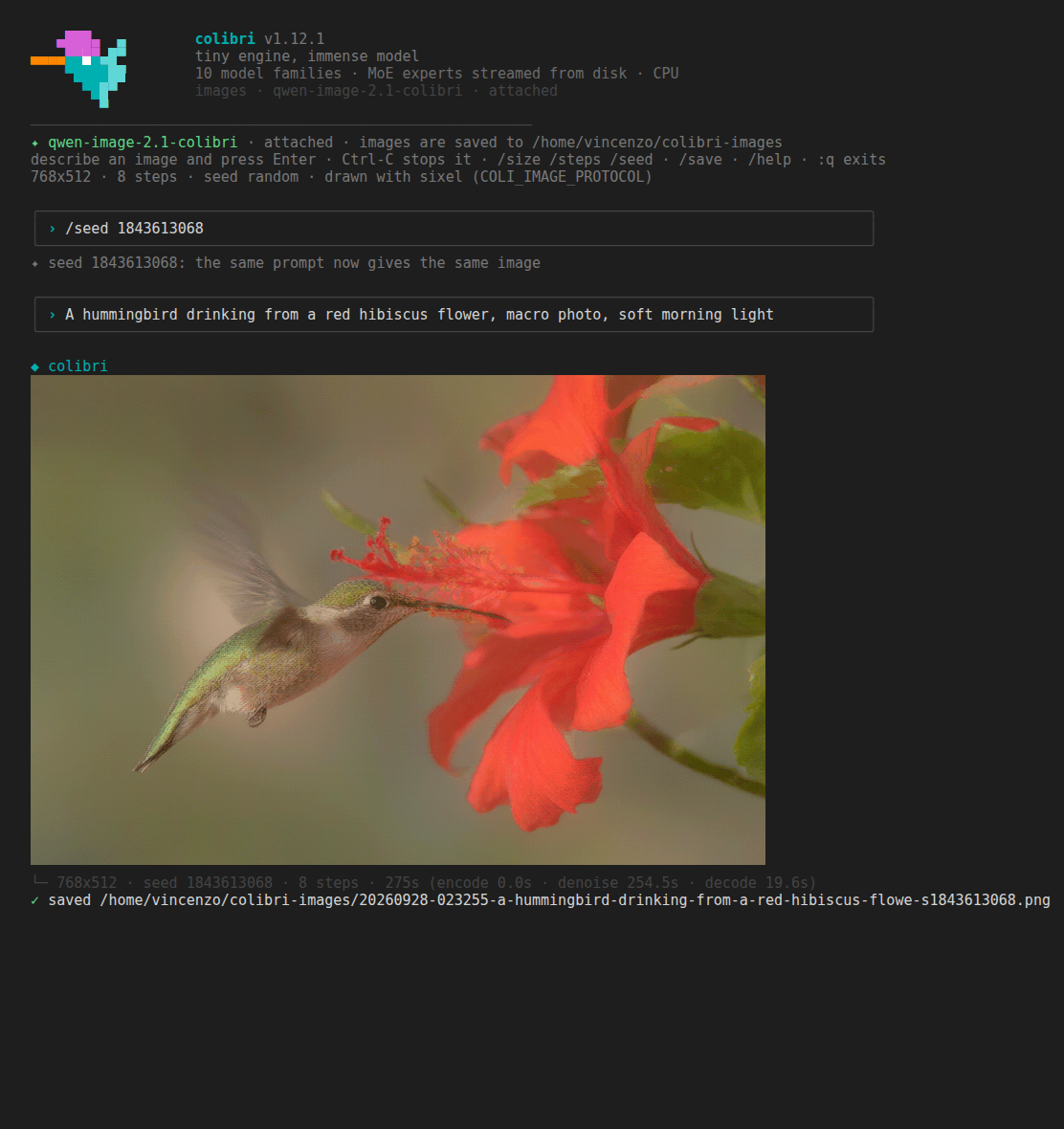 coli chat: the same prompt and seed, the image drawn inside the terminal at full resolution (sixel), then saved as a PNG