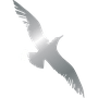 9K