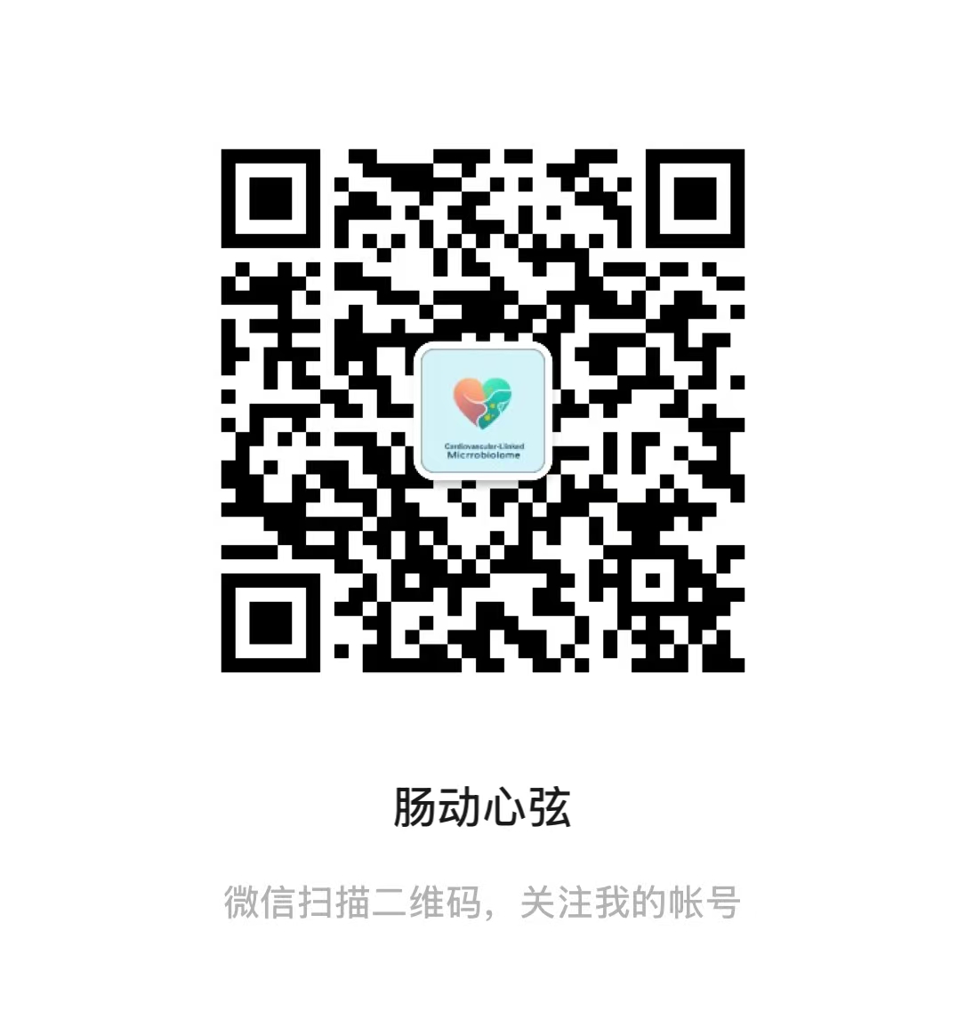 WeChat official account 肠动心弦 QR card
