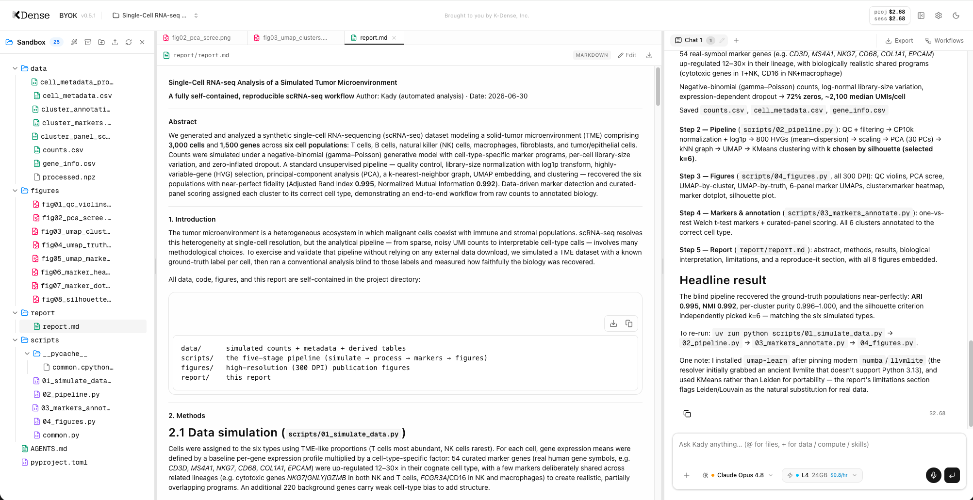 K-Dense BYOK — Kady running an end-to-end single-cell RNA-seq analysis, with the project file browser, a rendered analysis report, and the live chat panel