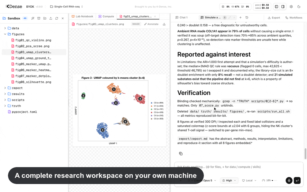 K-Dense BYOK — Kady running an end-to-end single-cell RNA-seq analysis: asking in plain language, streaming tool calls, the generated figures and report, the living lab notebook, and the skills and specialists settings