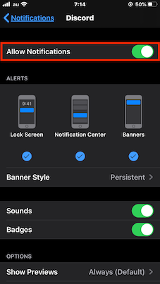 iphone_discord_settings_en