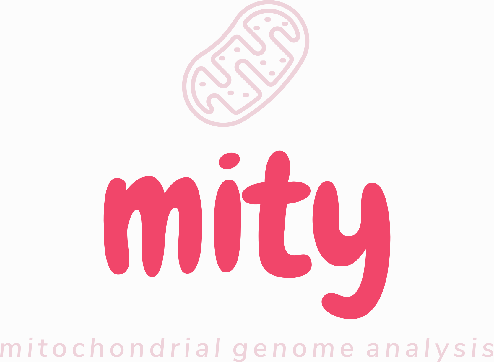 mity logo