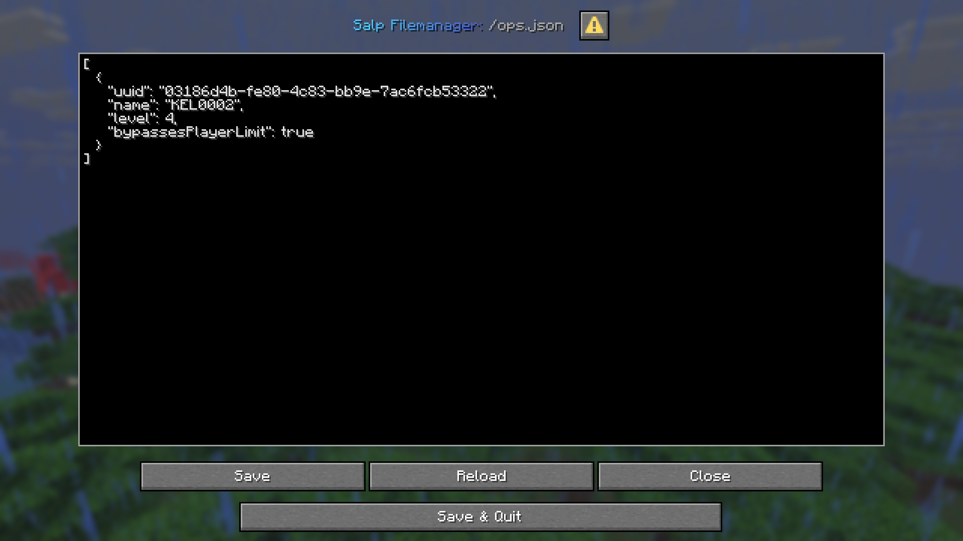 Text editor