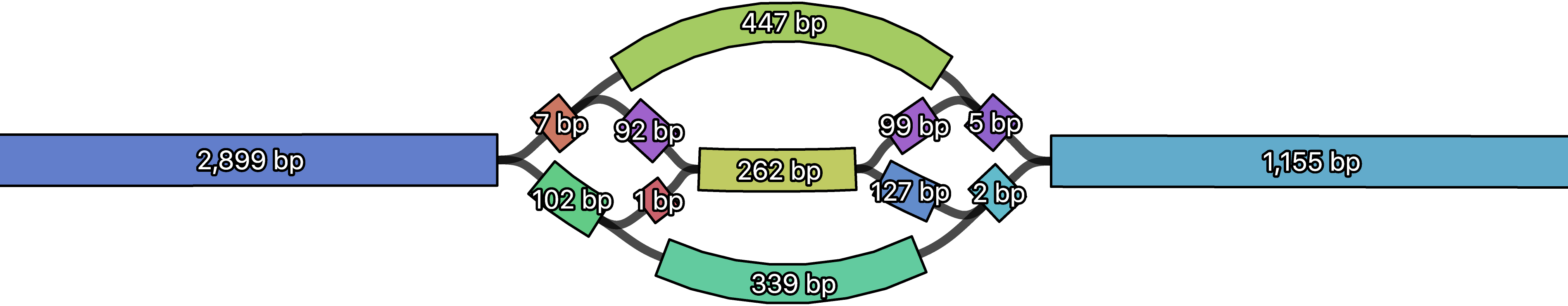 Short contigs in assembly graph