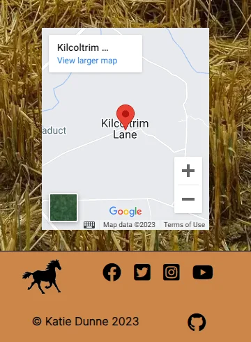 Google map