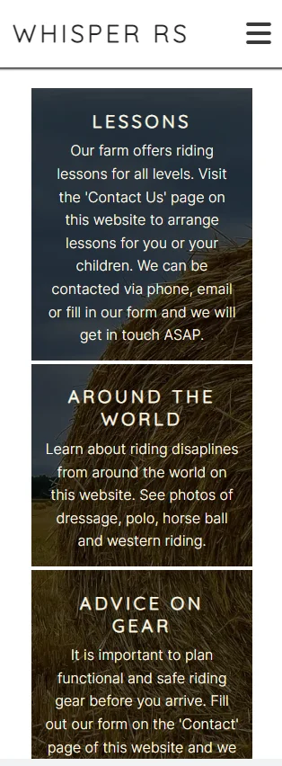 Responsive what we offer panels on mobile