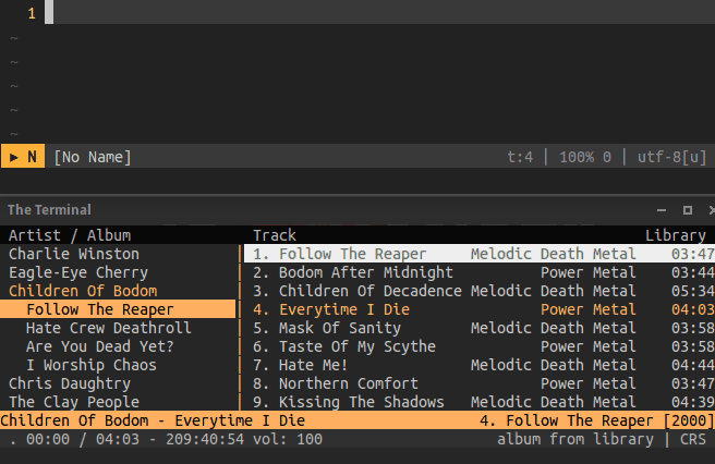 Usage of Cmus command