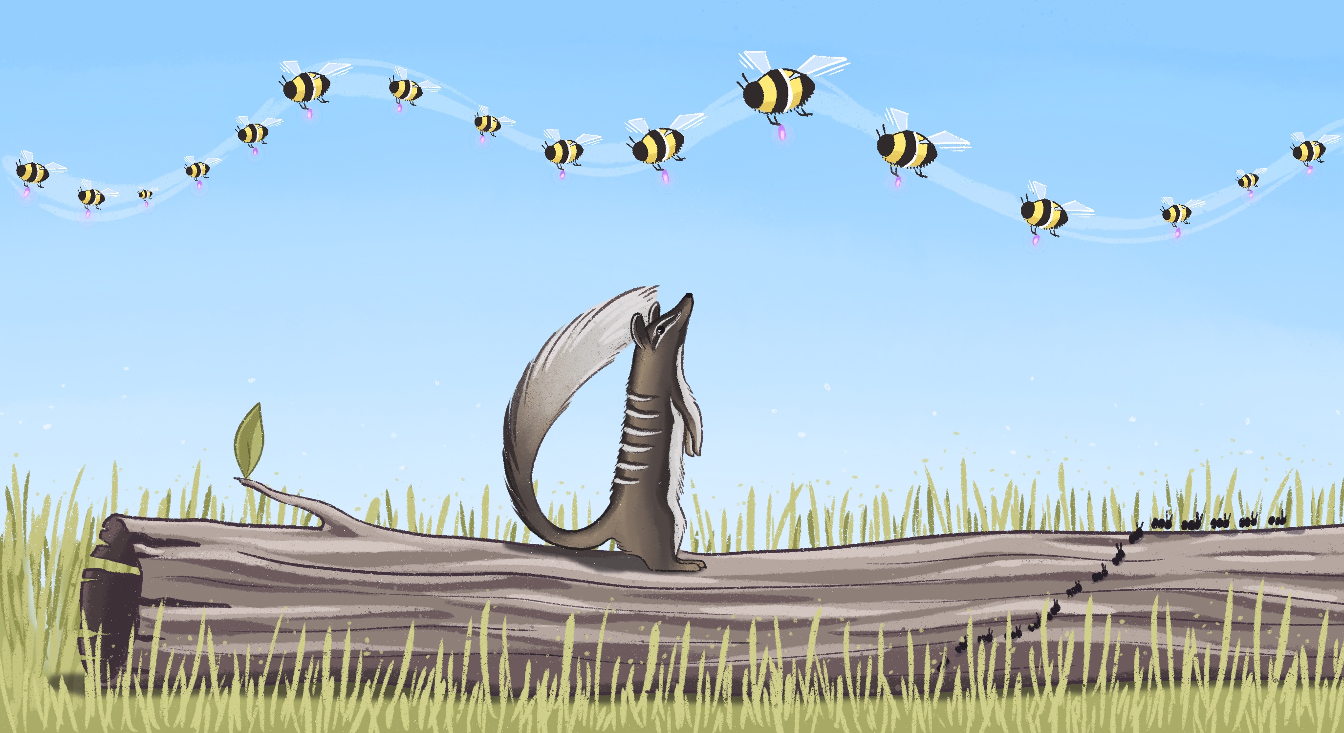 Numbat and Bumblebees