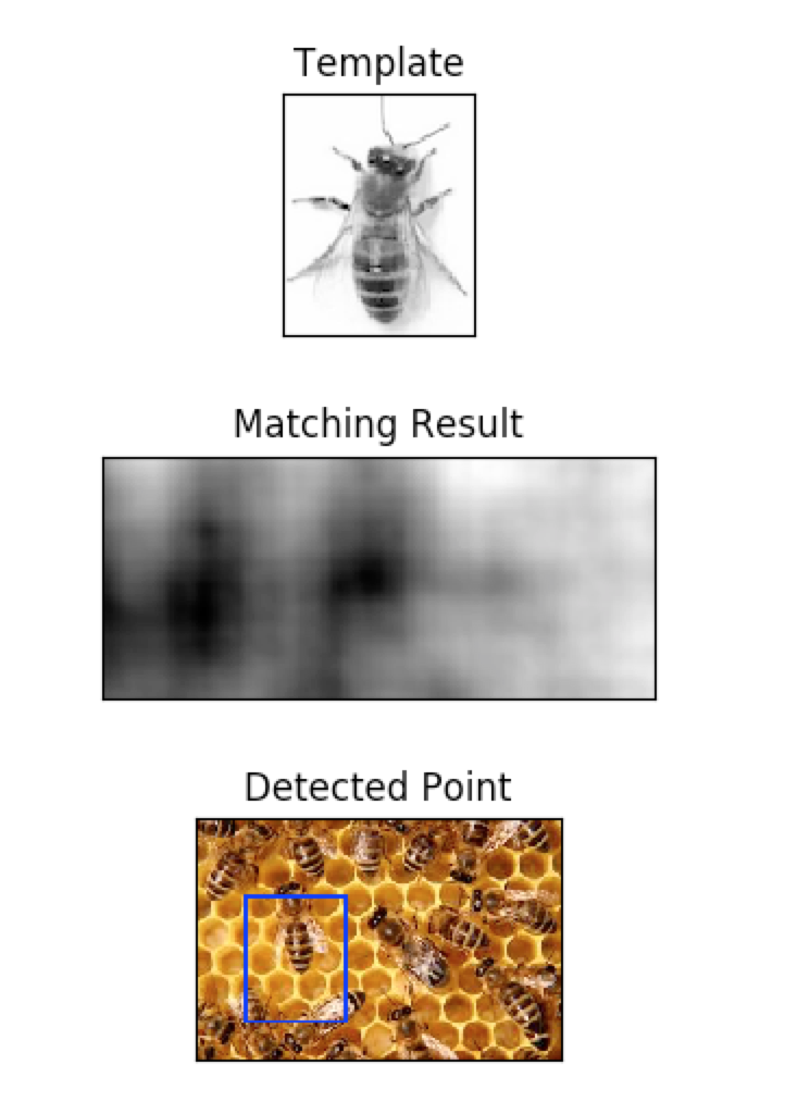 Bee template compared to group of bees