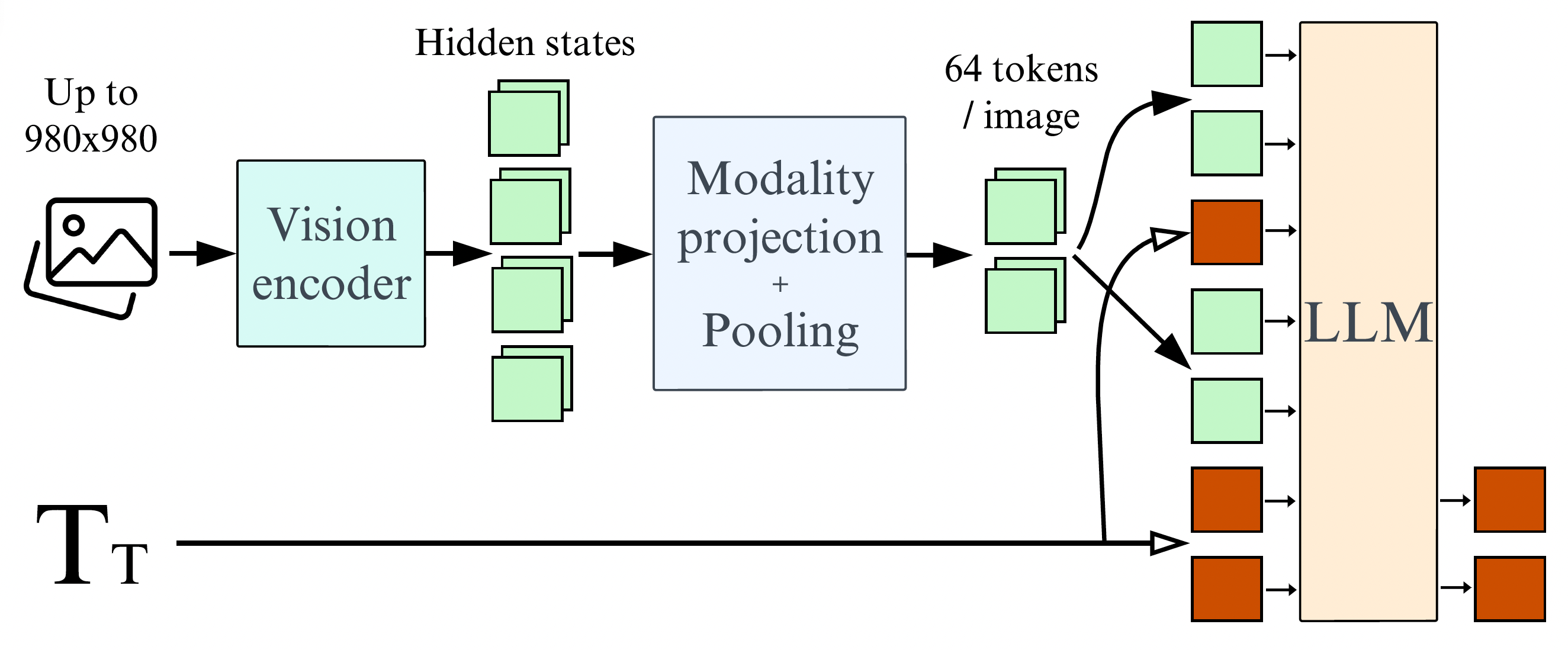 model-architecture