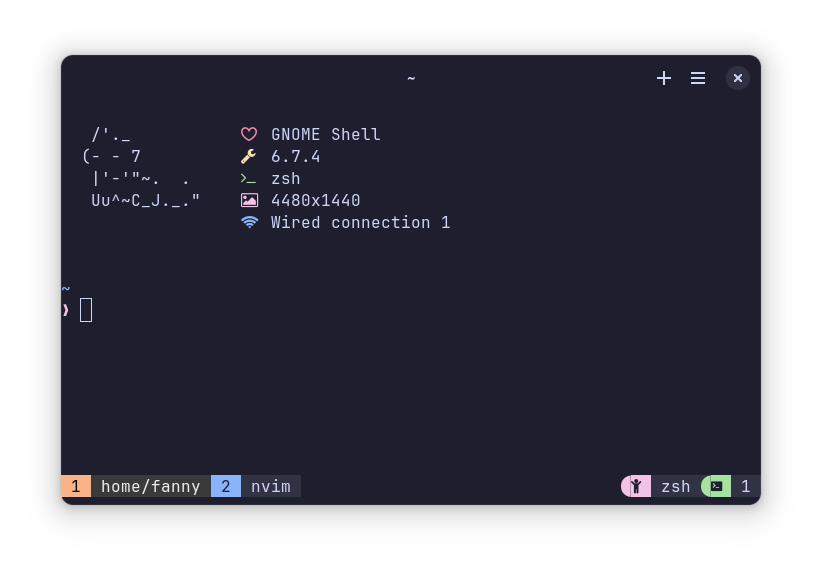 Tmux with ZSH